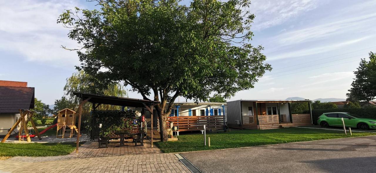 Guesthouse Braslovce - Celje Exterior photo